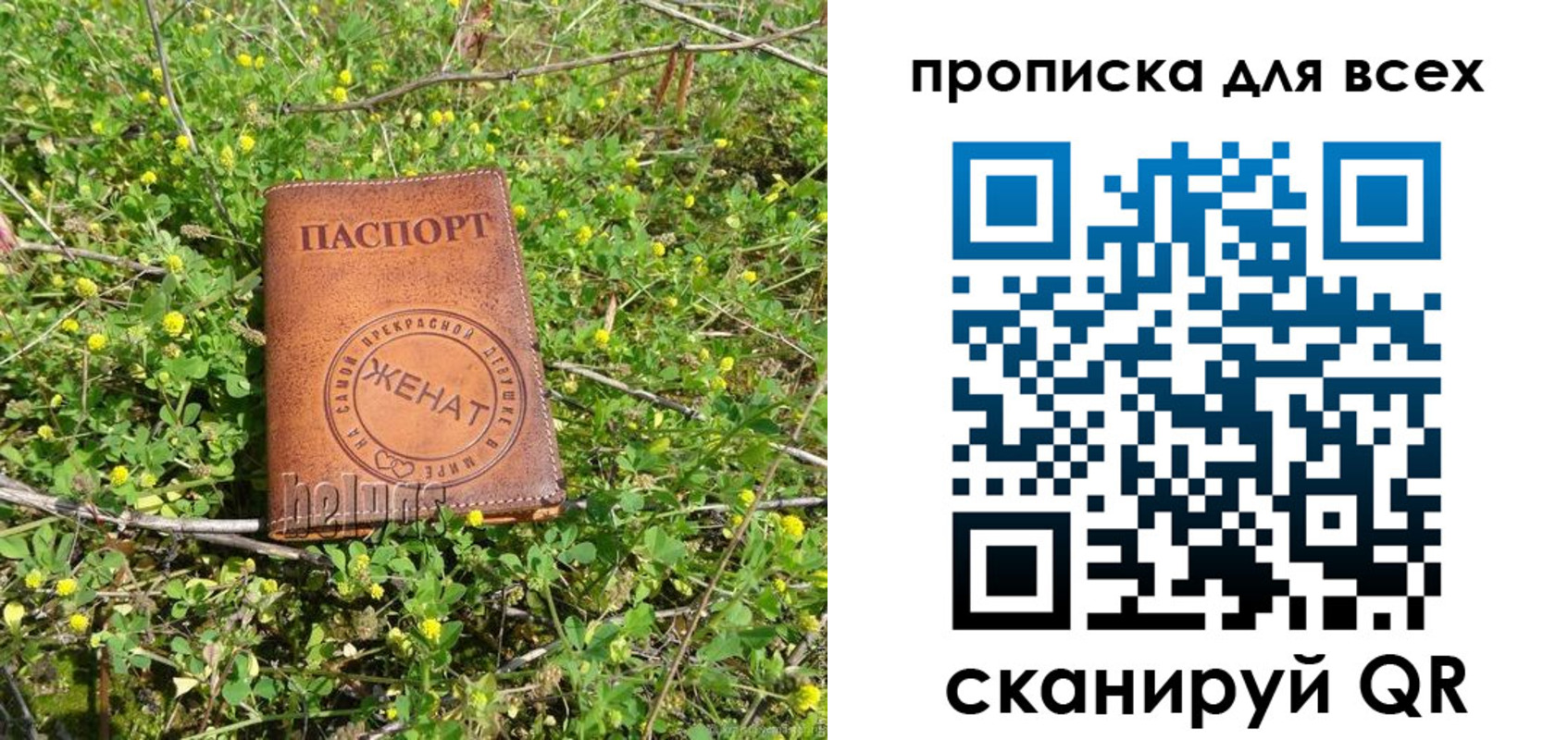 прописка поиск в Кандалакше